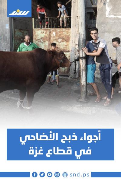 أجواء5.jpg