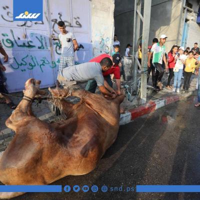 أجواء3.jpg