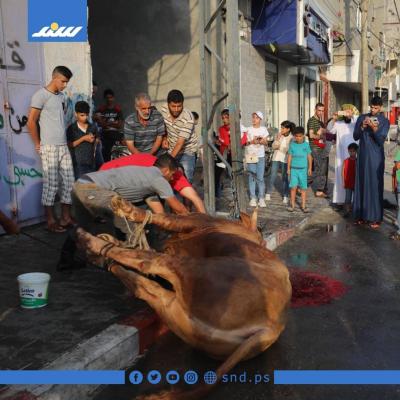 أجواء6.jpg