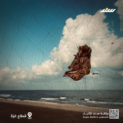صيد3.jpg