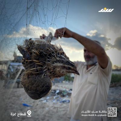 صيد9.jpg