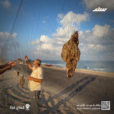 صيد11.jpg