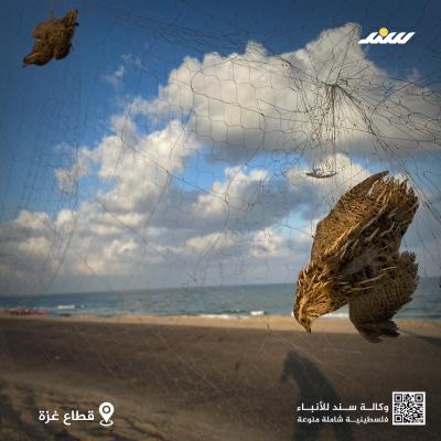 صيد12.jpg
