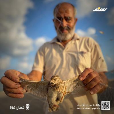 صيد13.jpg
