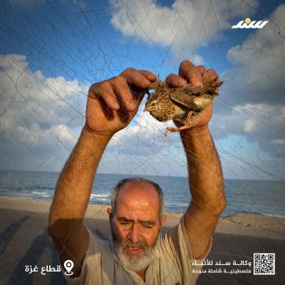 صيد10.jpg