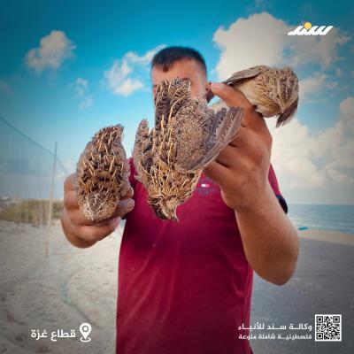 صيد8.jpg