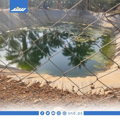 بركة4.jpg