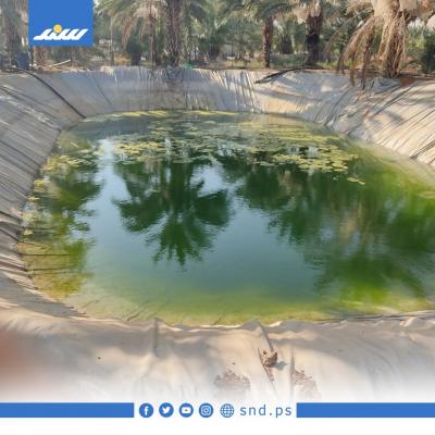 بركة2.jpg