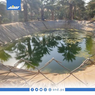 بركة3.jpg