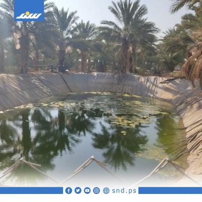 بركة5.jpg