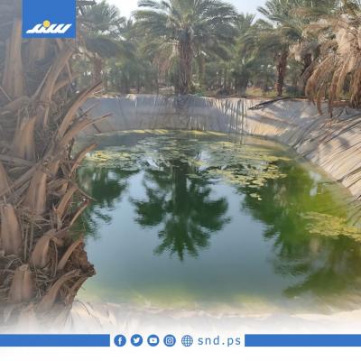 بركة1.jpg