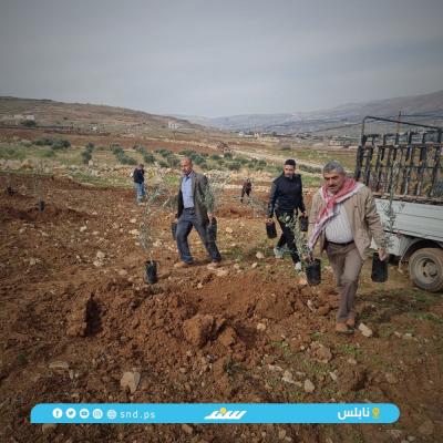 ‏‏زراعة 3 - نسخة.jpg