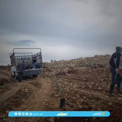 زراعة 4.jpg