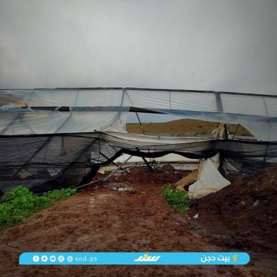 بيوت بلاستيكية.jpg