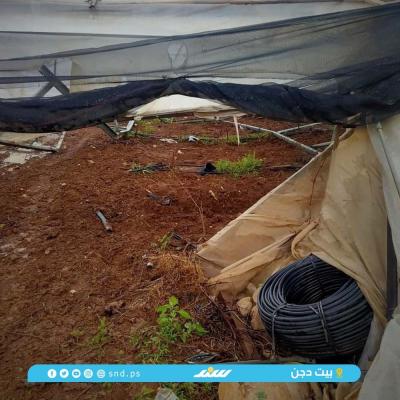 بيوت بلاستيكية3.jpg
