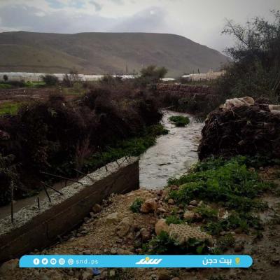 بيوت بلاستيكية2.jpg