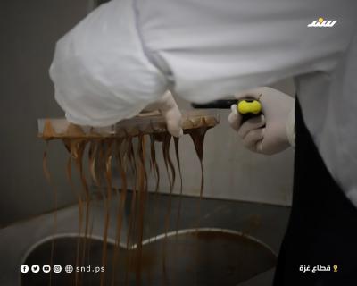 شوكو3.jpg