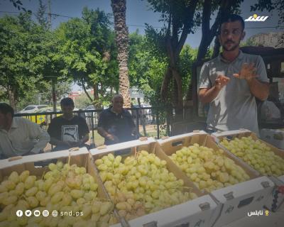 عنب جنين بنابلس7.jpg