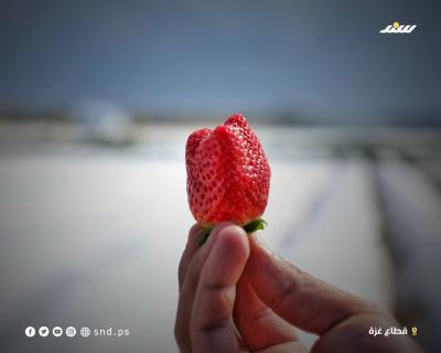 316052129_477866024447747_8209502957258261106_n.jpg