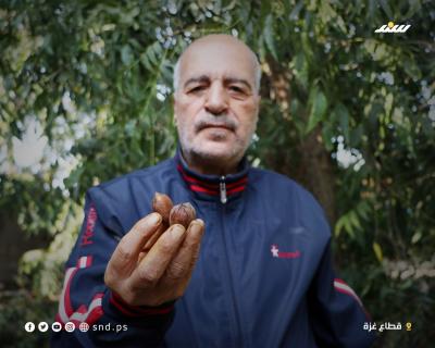 ‏‏عين الجمل 3 - نسخة.jpg