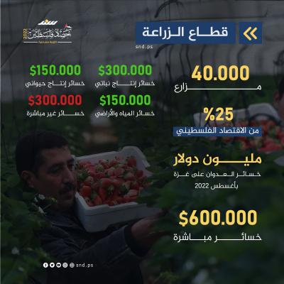 حصاد فلسطين 2022.jpg