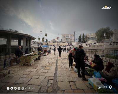 القدس (7).jpg