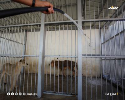 ارتفاع الحرارة.jpg