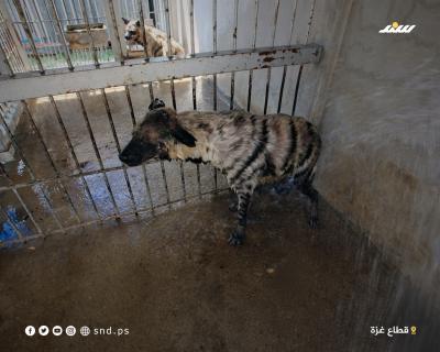 ارتفاع الحرارة2.jpg