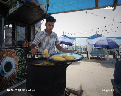 بسطات الذرة.jpg