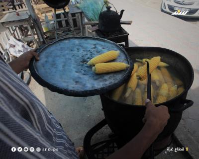 بسطات الذرة 8.jpg