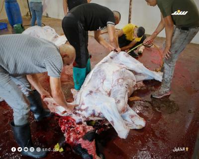 ذبح 3.jpg