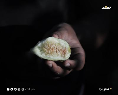 تين 3.jpg