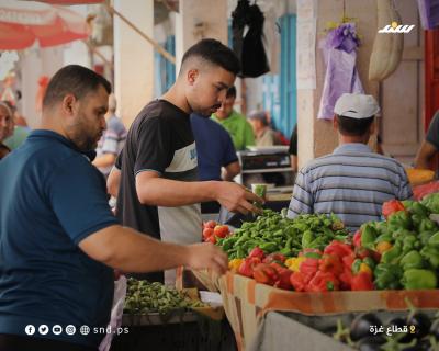 زراعة جديد 3.jpg