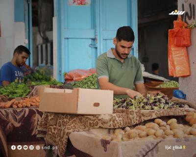 زراعة جديد 4.jpg
