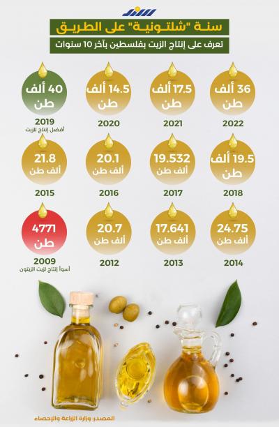 سنة شلتونية على الطريق.. تعرف على إنتاج الزيت في فلسطين بآخر 10 سنوات