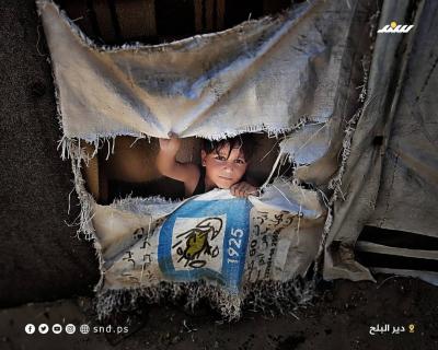 صورة واتساب بتاريخ 1446-02-21 في 11.02.59_1cc20147.jpg