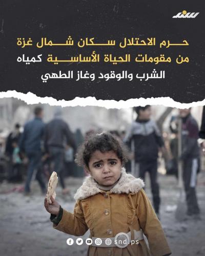 40 يوماً على حصار جباليا والصمود عنوان الحكاية -8.jpg