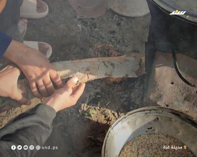 الطهي على الحطب في غزة (2).jpeg