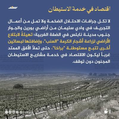 قصة مصورة مستوطنة براخا  (6).jpeg