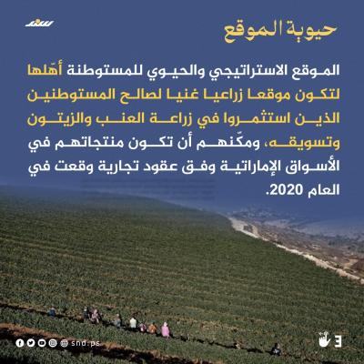 قصة مصورة مستوطنة براخا  (4).jpeg