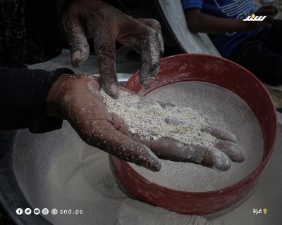 عائلات فلسطينية تستخدم الطحين الفاسد في إنتاج الخبز 5.jpg