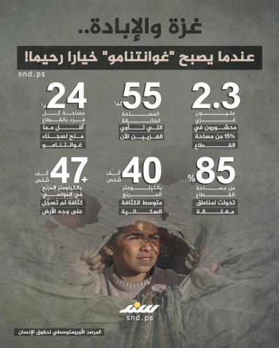 الإبادة في غزة