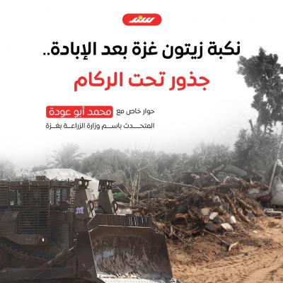 نكبة زيتون غزة بعد الإبادة.jpg