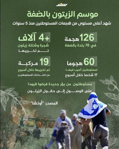إنفوغرافيك| موسم الزيتون بالضفة يشهد أعلى مستوى من هجمات المستوطنين منذ 5 سنوات.