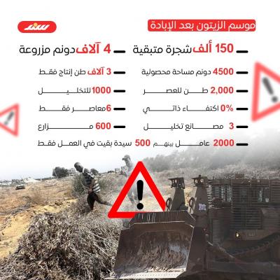 نكبة زيتون غزة بعد الإبادة2.jpg