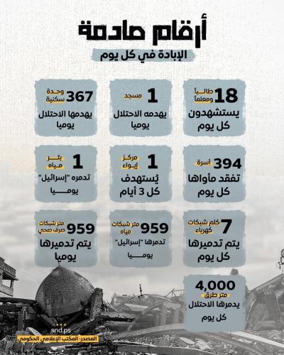 أرقام صادمة.. الإبادة في كل يوم