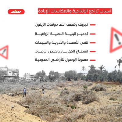 نكبة زيتون غزة بعد الإبادة3.jpg