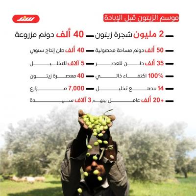نكبة زيتون غزة بعد الإبادة1.jpg