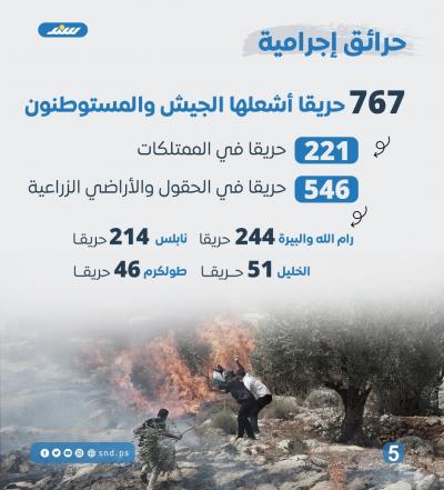 قصة مصورة.. عدوان جيش الاحتلال والمستوطنون على الضفة منذ السابع من أكتوبر5.jpg