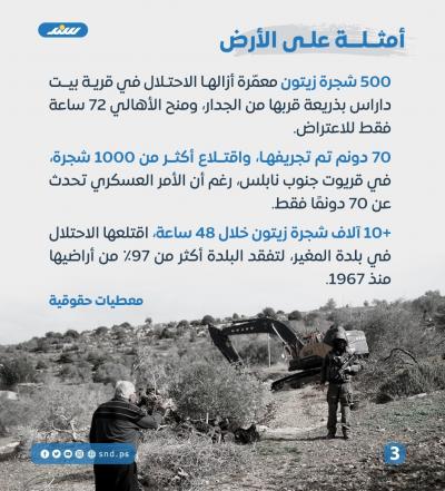 قصة مصورة.. الأوامر العسكرية.. سلاح الاحتلال لاقتلاع الجذور ونهب الأرض (4).jpeg